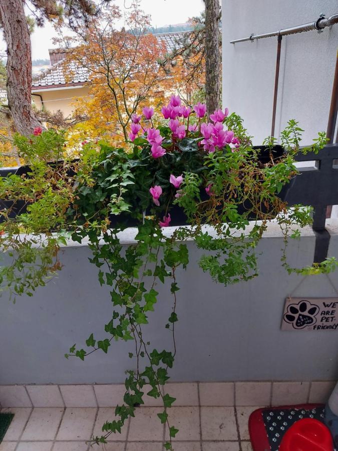 La Pineta - Delightful Small Apartment Near The City Center L'Aquila Ngoại thất bức ảnh